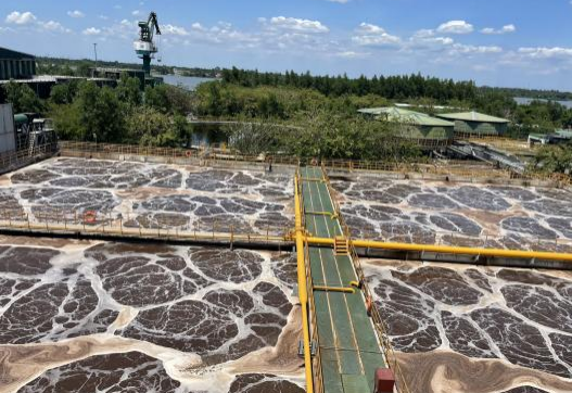 圖片1(15).png 圖片1(15).png